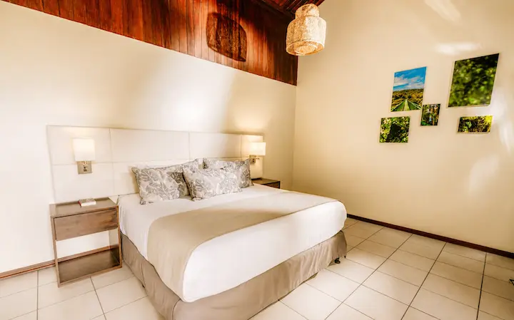 Ficus_Mountain_View_King_Habitación_01