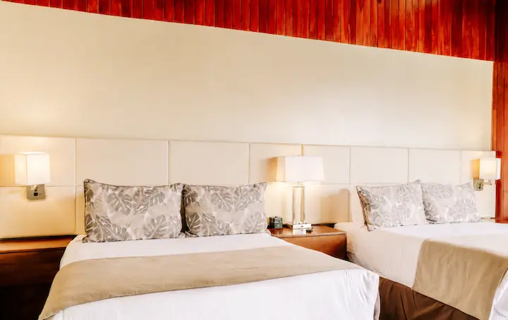 Ficus_Mountain_View_Queen_Habitación_05